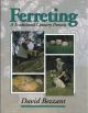 FERRETING: A TRADITIONAL COUNTRY PURSUIT. By David Bezzant.