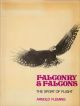 FALCONRY AND FALCONS: THE SPORT OF FLIGHT. By Arnold Fleming.