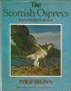 THE SCOTTISH OSPREYS: FROM EXTINCTION TO SURVIVAL. By Philip Brown.