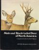 MULE AND BLACK-TAILED DEER OF NORTH AMERICA: A WILDLIFE MANAGEMENT INSTITUTE BOOK. Compiled and edited by Olof C. Wallmo.