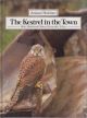 THE KESTREL IN THE TOWN. By Mike Birkhead and Oxford Scientific Films. Animal Habitats series.