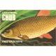 CATCH MORE CHUB. By Fred Wagstaffe.