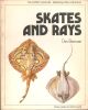 SKATES AND RAYS. By Des Brennan. Colour plates by Keith Linsell. The  Osprey Anglers Series.
