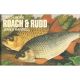 CATCH MORE ROACH and RUDD.