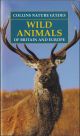 WILD ANIMALS OF BRITAIN and EUROPE. By Helga Hoffmann. Translated by Martin Walters. Scientific Consultant Dr. Gordon Corbet. COLLINS NATURE GUIDES.