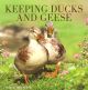 KEEPING DUCKS AND GEESE. By Chris and Mike Ashton.