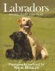 LABRADORS: WORK, REST AND PLAY. By Nick Ridley.